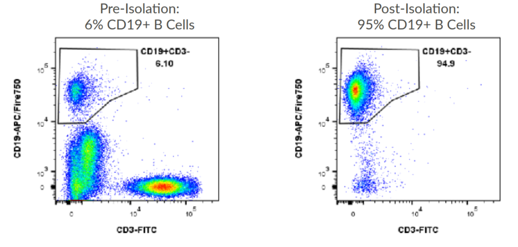 Human B Cell Flow Plots