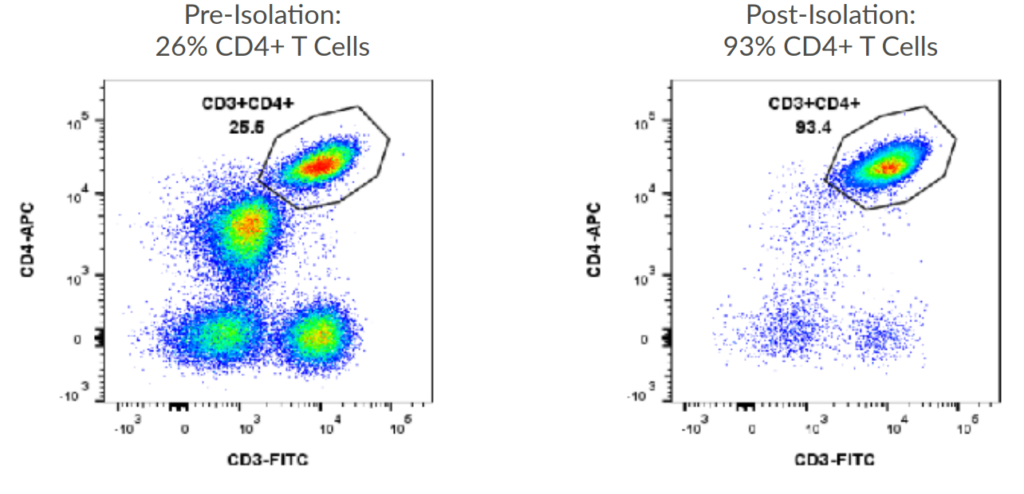 Human CD4+ T Cells Flow Plots