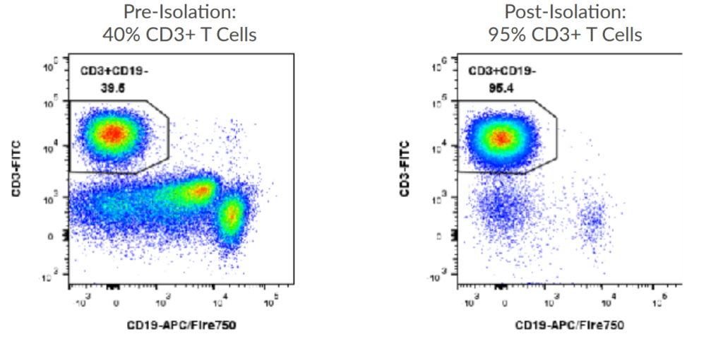 Human T Cell Flow Plots