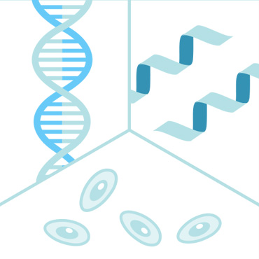 Targets nucleic acids, proteins, cells, and more