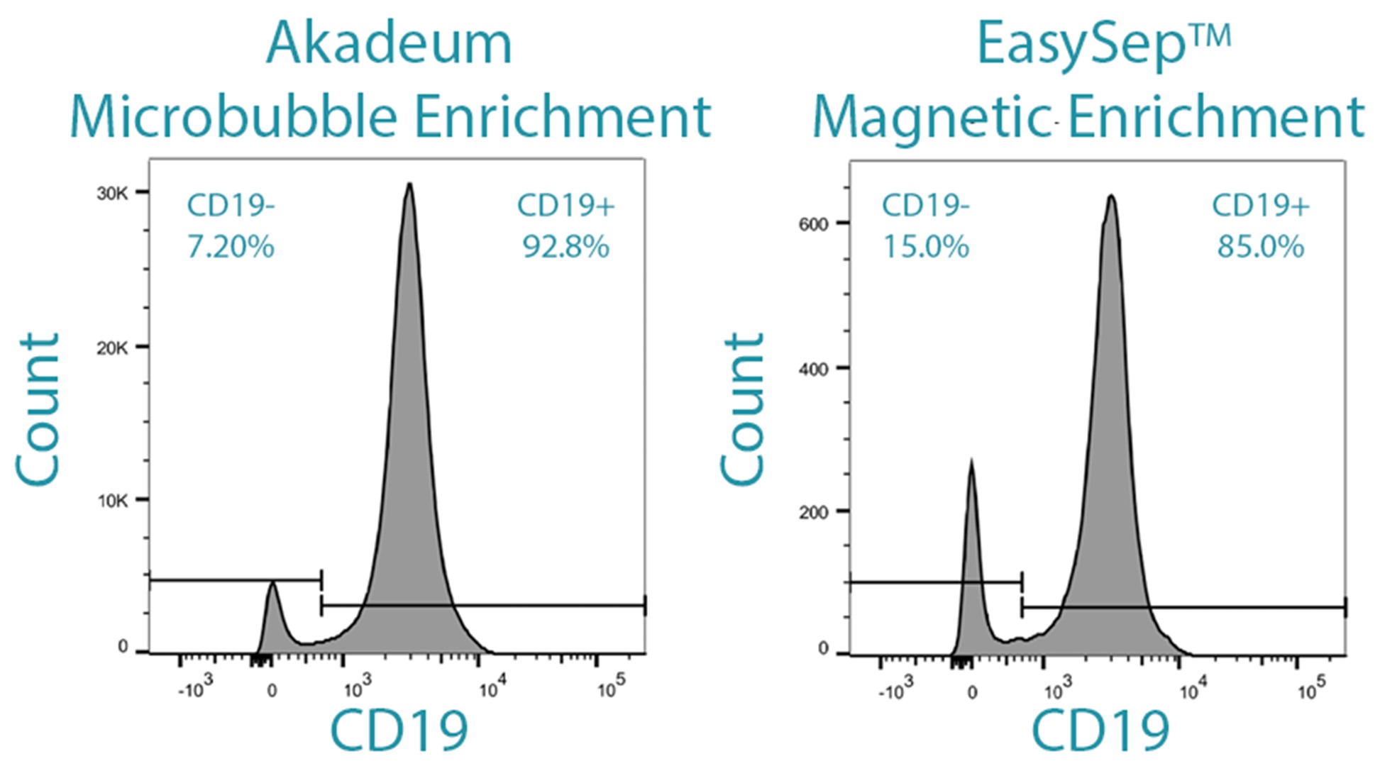 Microbubble enriched B cells remain functional and retain their antigen presenting capacity