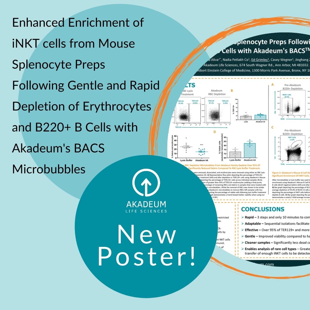 Enhanced Enrichment of iNKT cells from Mouse Splenocyte Preps Following Gentle and Rapid Depletion of Erythrocytes and B220+ B Cells with Akadeum’s BACS Microbubbles