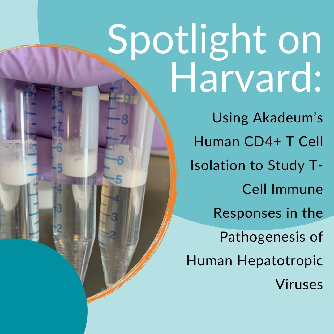 New Researcher Spotlight from Harvard: Using Akadeum’s Human CD4+ T Cell Isolation