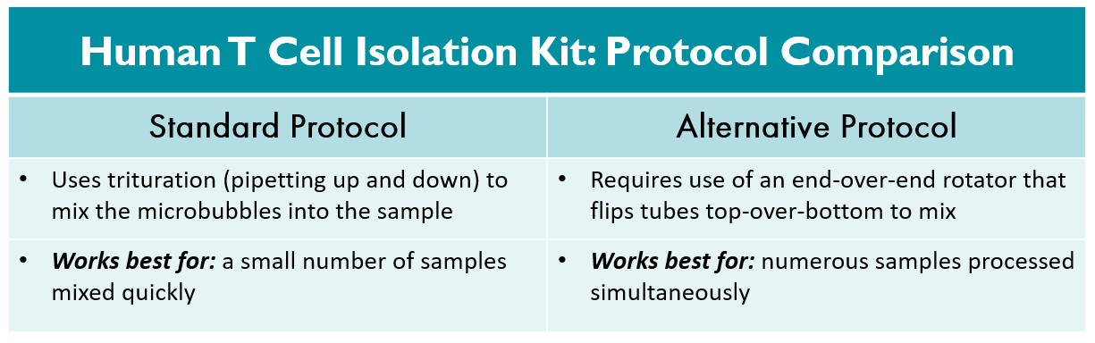 Questions about Blue Protocol