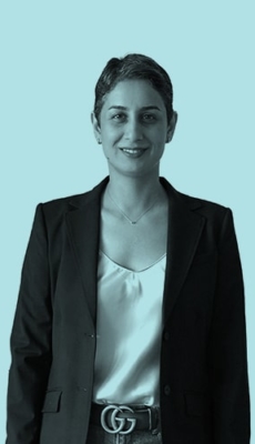 Maedeh Roshan, PhD
