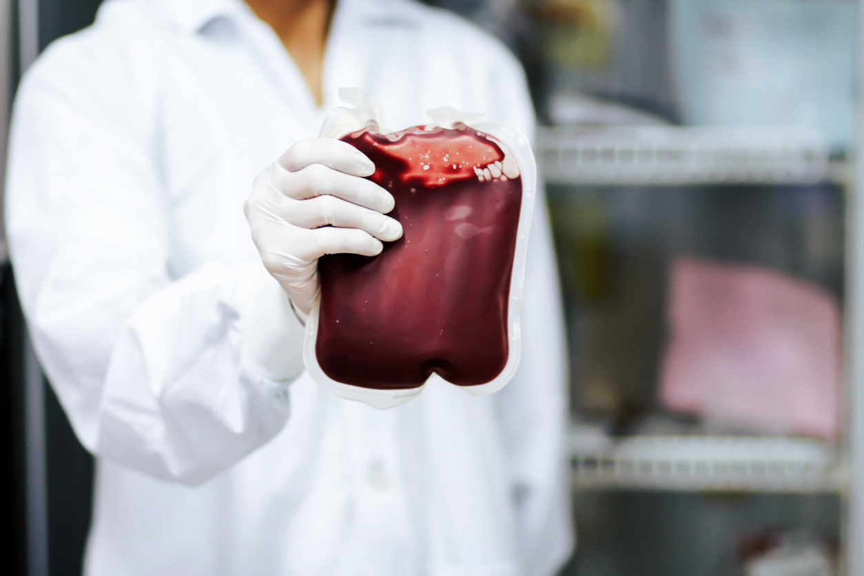 Doctor holding fresh donor blood