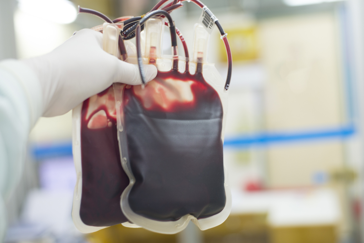 Red blood bag in hand scientist over white background in laboratory.