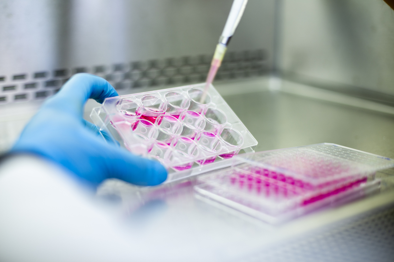 holding a pipette, preparing culture media for cell culture science experiment