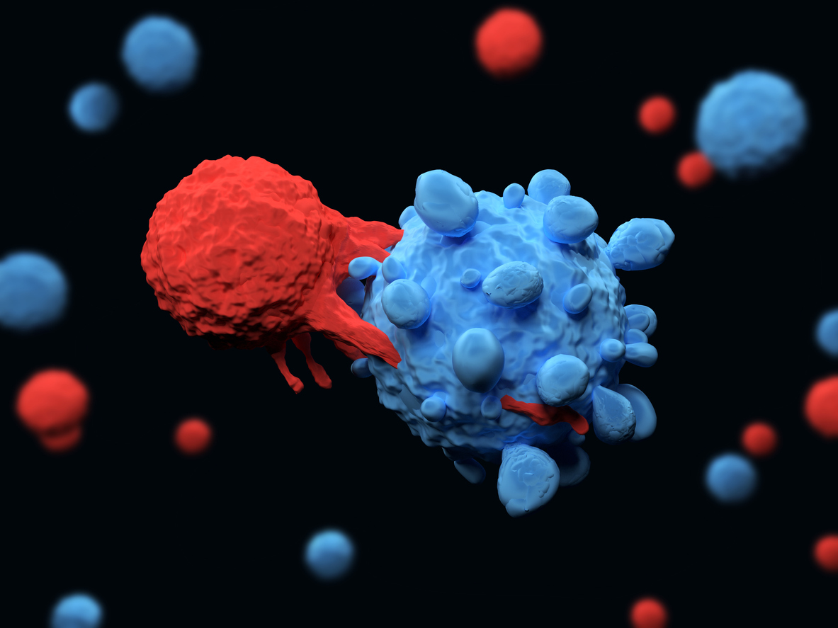 3d Rendering of an immune system T cell killing a cancer cell