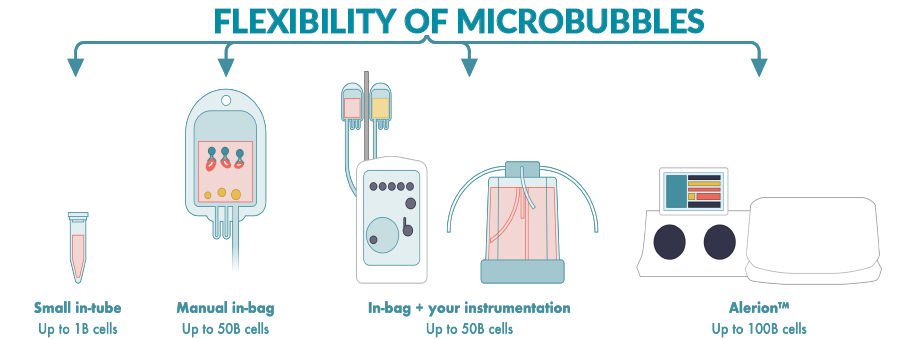 The Flexibility of Microbubbles
